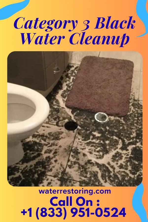 Category 3 Black Water Cleanup in Lake Barcroft, VA