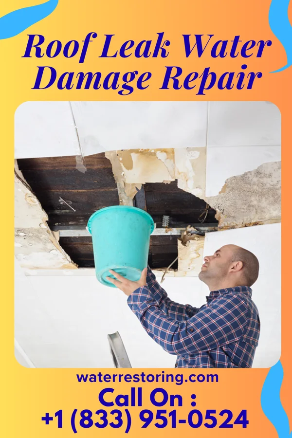 Roof Leak Water Damage Repair in Lake Barcroft, VA