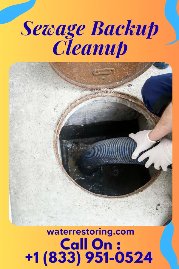 Sewage Backup Cleanup in Lake Barcroft, VA