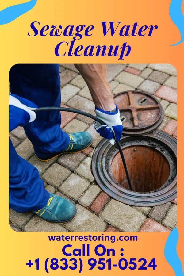 Sewage Water Cleanup in Lake Barcroft, VA