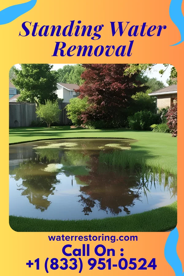 Standing Water Removal in Lake Barcroft, VA
